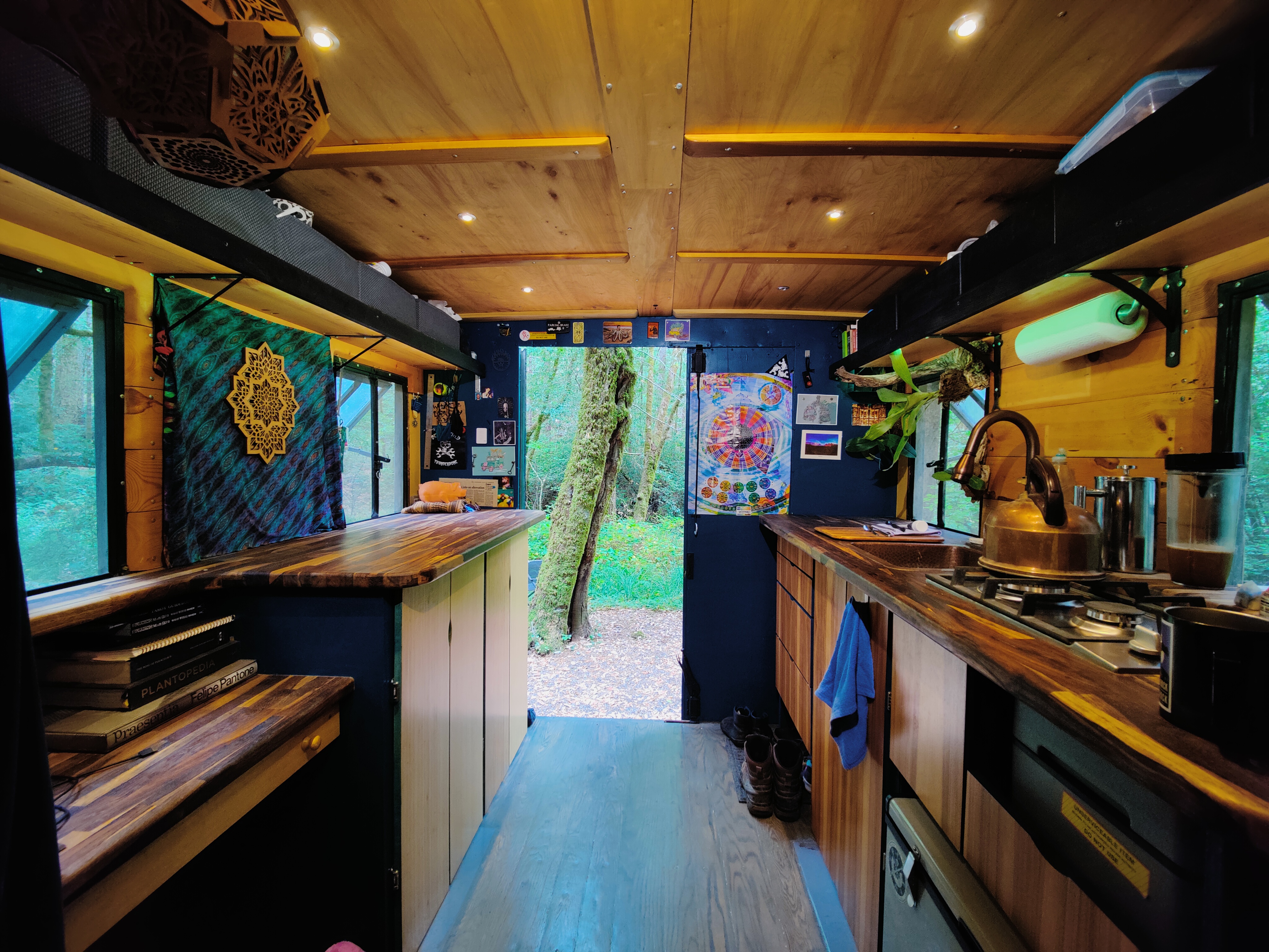 M109 interior, navy walls, live-edge counters, plants, open door onto forest